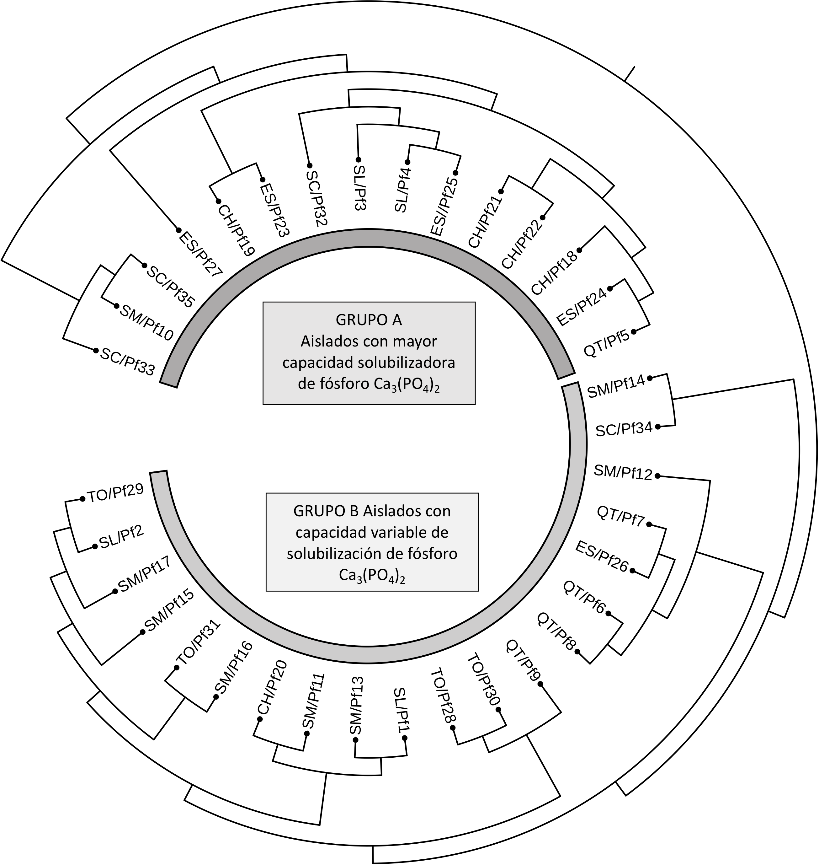 diagrama