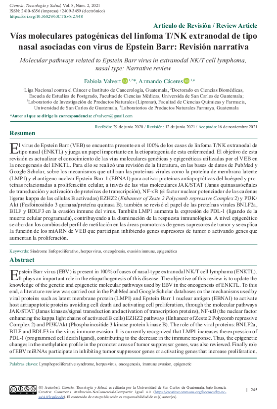 Pagina uno del artículo: contiene: título, autores, afiliación, resumen, palabras clave, abstract y keywords