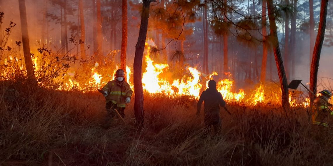 Fotografía de un bosque incendiandose y bomberos tratando de apagarlo